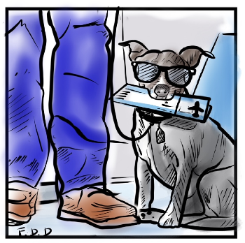 Immagine: ConFido in te