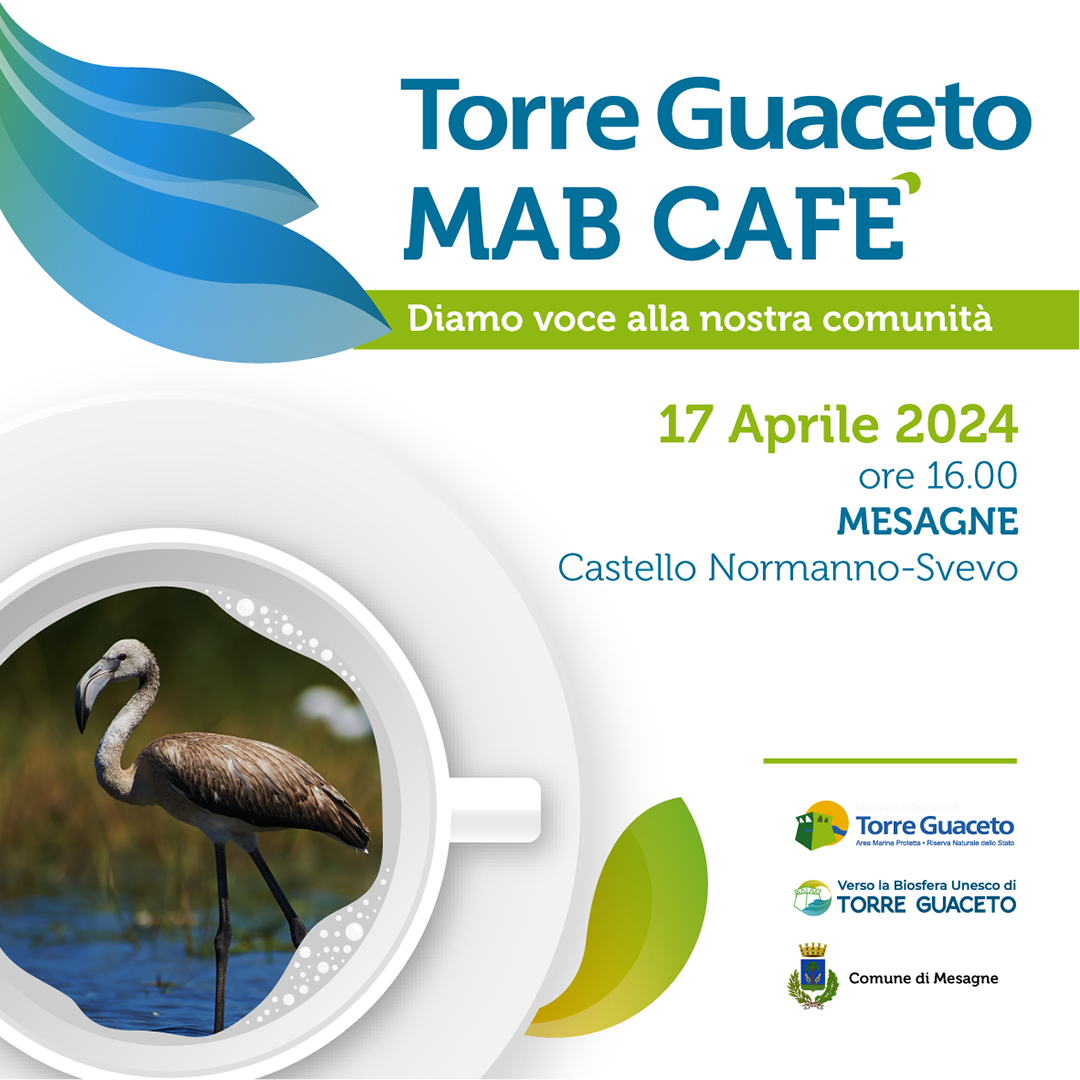 Immagine: Torre Guaceto MAB CAFE'